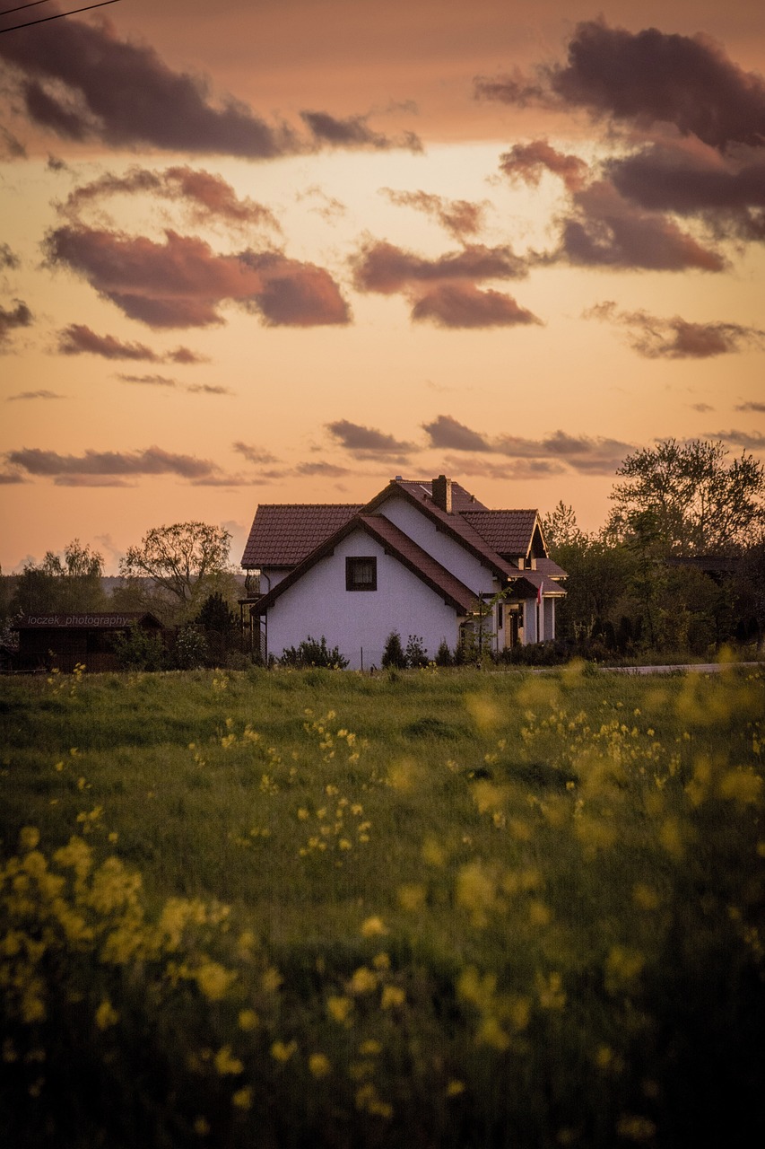 house, meadow, grass, flowers, home, building, spring, field, nature, sky, clouds, house, beautiful flowers, house, house, house, flower wallpaper, flower background, house, home, home, home